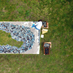 DJI_0861