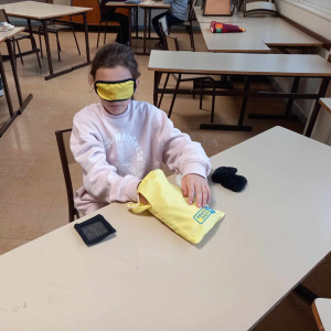 Sensibilisation au handicap 22